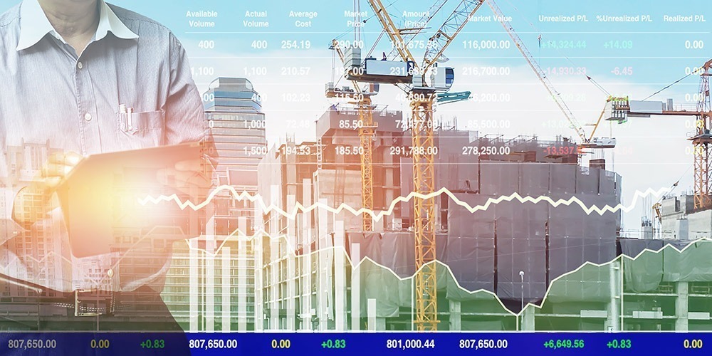 cost management in government project